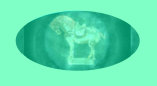 09050802_lost_in_space_robot_for_sale001012.jpg